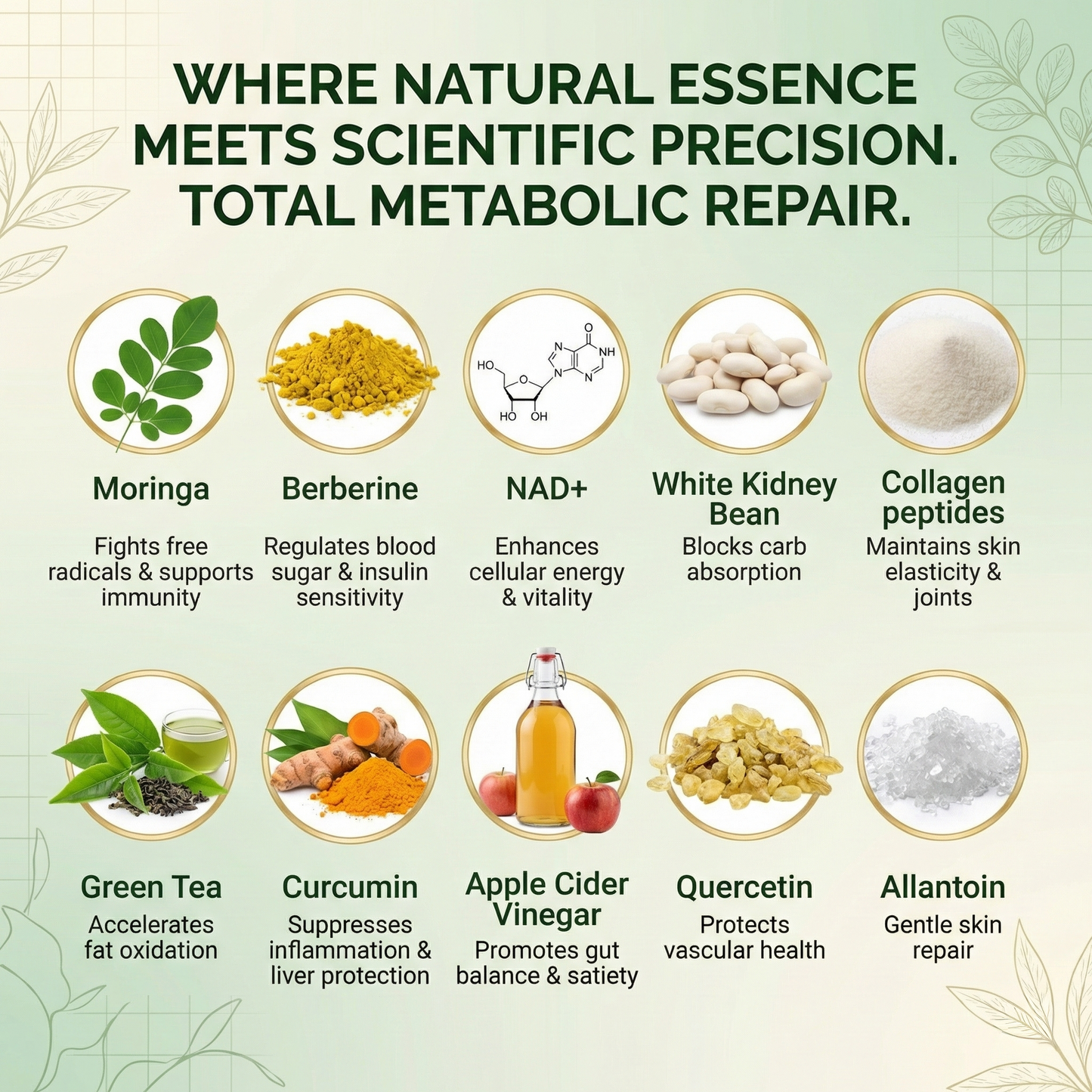 Healrize® MORINGA,BERBERINE & NDA+NMN Advanced Nano Microneedle Patch