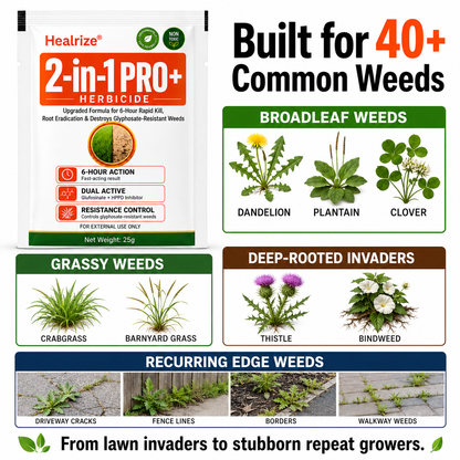 🎉Special limited-time discount🎉Healrize® Advanced 2-in-1 Pro+ Herbicide-Upgraded Formula for 6-Hour Rapid Kill, Root Eradication & Destroys Glyphosate-Resistant Weeds🔥Best Seller🔥
